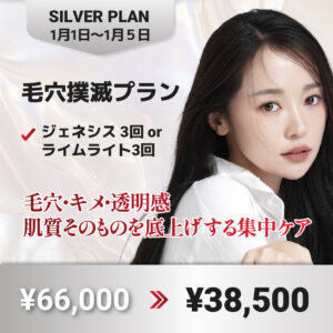 シルバー プラン